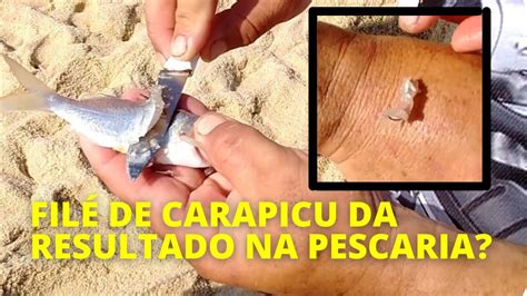 File De Carapicu Salvou A Pescaria Papaterra Roncador Riscadinho