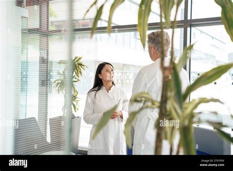Mature Doctor Having Discussion With Colleague Near Glass Stock Photo