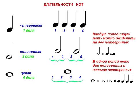 Нотная грамота для начинающих музыкантов Музыкальный класс