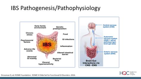 Ibs D Therapeutic Advances And The Impact Of The Gut Microbiome Youtube