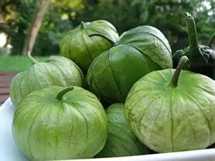 20 Semillas De Tomatillo Verde Physalis Ixocarpa La Tienda De Jorge