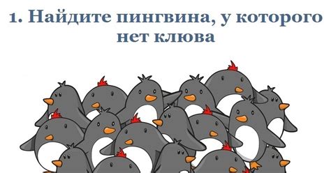 Не кисни, на радуге зависни... | Пикабу