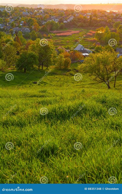 Summer Evening Landscape Stock Photo Image Of Summer 88351348