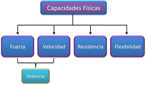 Oq Sao Capacidades Fisicas