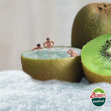 Kiwi Zespri Kiwi Sungold Kiwi Green Kiwi Organic Kiwi Vakantie