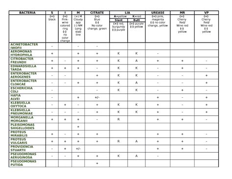 Bacteria Biochemical Test Reviewer - BACTERIA S I M CITRATE LIA UREASE ...