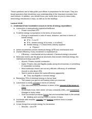 Am Study Prep Docx These Questions Are To Help Guide Your Efforts In