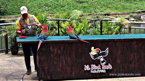 Kl Bird Park Mengadakan Promosi Bersempena Pembukaan Semula Selepas Pkp