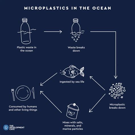 Microplastic Cycle The Development Cafe