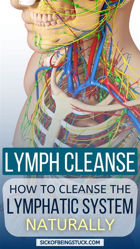 Lymph Cleanse 18 Ways To Detox The Lymphatic System Naturally Artofit