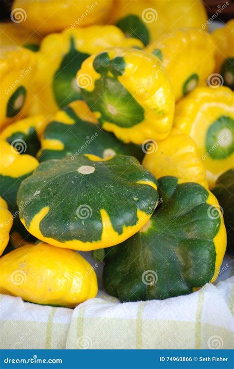 Green Patty Pan Squash Displayed During Farmers Market Fresh Bio Patty