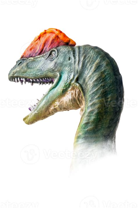The Head Of Dilophosaurus Dinosaur On Isolated Background 21183110 Png