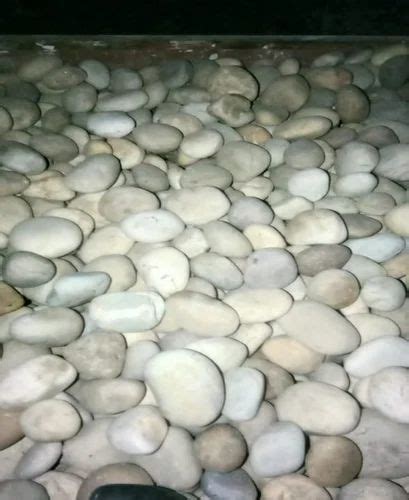 Tumbled Matte White River Pebbles Stone For Pavement At Rs Kg In Udupi