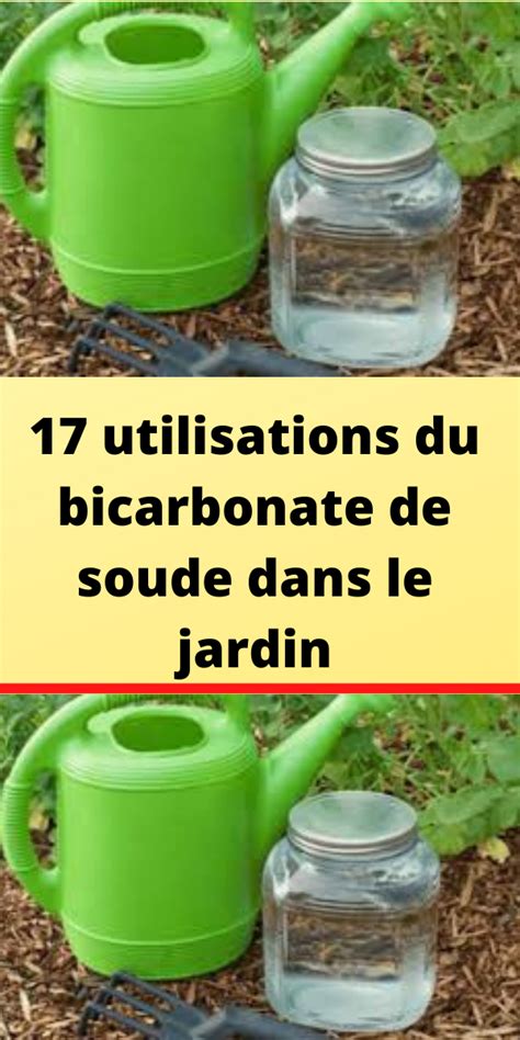 Utilisations Du Bicarbonate De Soude Dans Le Jardin Artofit