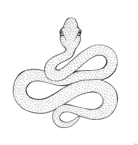 Cobra Snake Drawing at GetDrawings | Free download