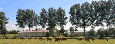 la ferme d Elisabeth et Pierre Chaigneau retrait à la ferme Cagette net