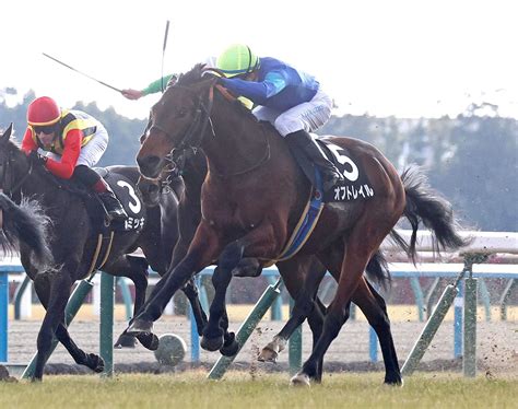 4番人気オフトレイル瞬発力見せ首差差し切り 吉村師「放牧が効果」／こぶし賞 3歳馬特集 競馬写真ニュース 日刊スポーツ