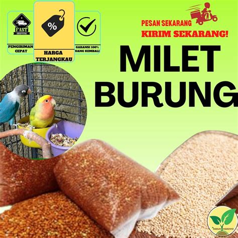 Jual Milet Putih Merk Vita Kg Milet Pakan Millet Pakan Lovebird