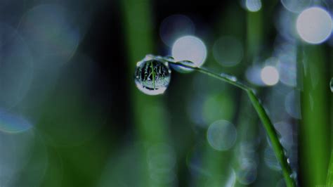 Raindrop Wallpaper Hd