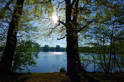 Unterwegs in Nürnbergs grünen Oasen Volkspark Dutzendteich