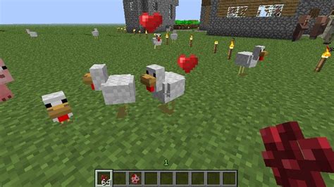 How To Tame And Breed Chicken In Minecraft Minecraft Guide