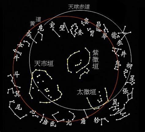 易学明灯：紫微神数算命，紫微星坐守十二宫夫妻宫的特点紫微夫妻宫配偶新浪新闻