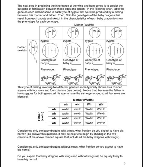 Solved Dragon Genetics Independent Assortment And Genetic