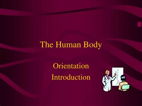 Ppt The Human Body Powerpoint Presentation Free Download Id 9363057