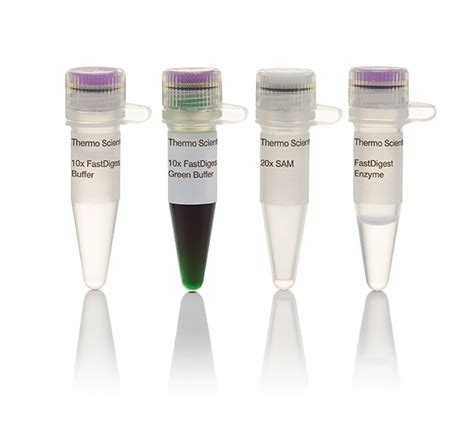 Thermo Scientific Fastdigest Eco I L Aa Bz Restriction Enzymes