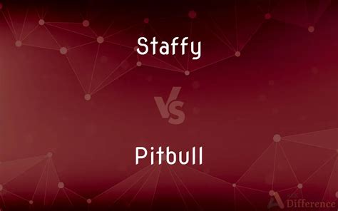 Staffy vs. Pitbull — What’s the Difference?