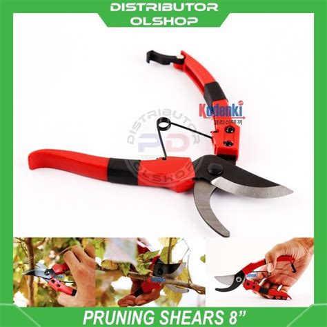 Jual Alat Pemotong Dahan Ranting Pohon Tanaman Gunting Pruning Shear Di