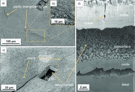 Sem Fib Images Showing Crack Formation Of The Oxide Scale Formed On A