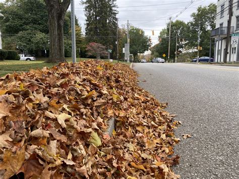 Local News and Community Updates from The Leaf-Chronicle Weekly 34