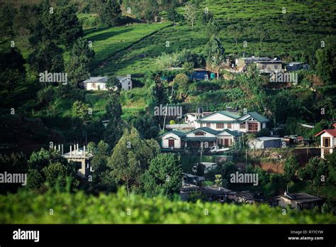 beautiful landscape of Ceylon. tea plantations and ancient houses Stock Photo - Alamy