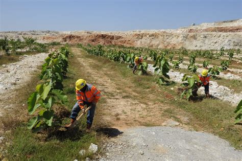 Sig Masuk Top Emiten Bahan Baku Konstruksi Dengan Rating Esg Terbaik