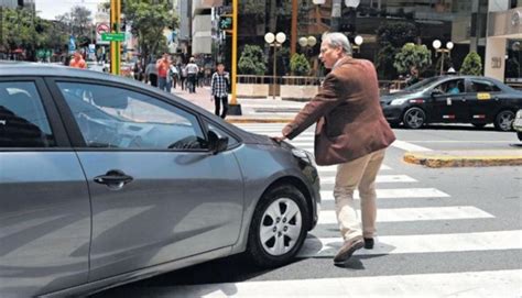 Nueve De Cada 10 Conductores No Otorgan La Prioridad Al Peatón