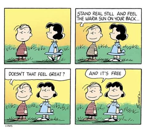 Pin By Laura Wilson On Charlie Brown And Friends Snoopy Funny Snoopy Comics Snoopy Quotes