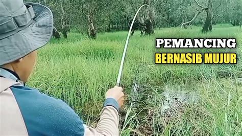 Mancing Di Spot Rawa Rawa Pemancing Bernasib Mujur Di Manapun Spot