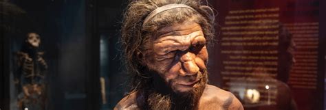 Neanderthals, More Our Brothers Than Our First Cousins | OpenMind