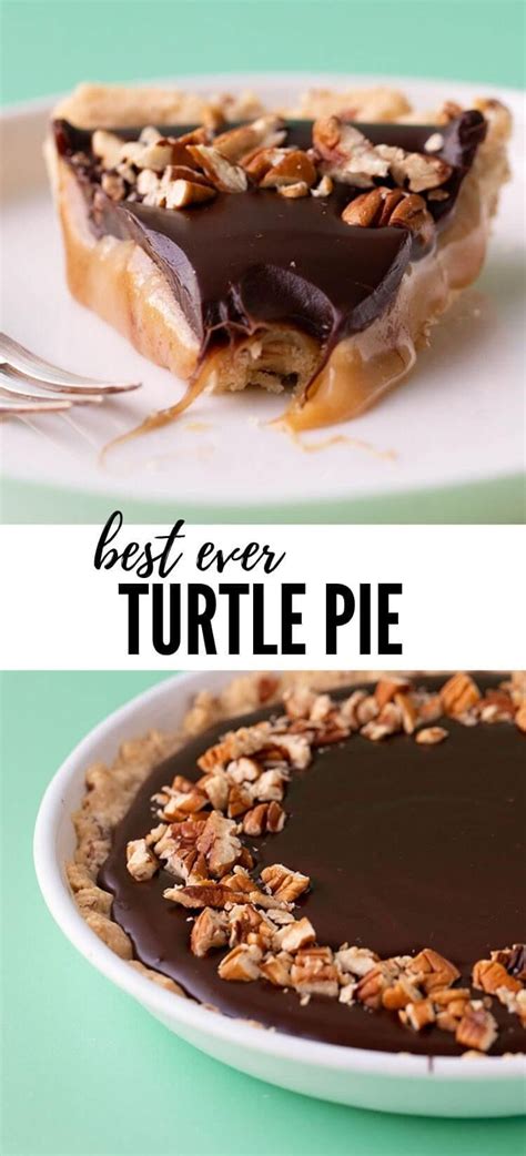 Turtle Pie Recipe Artofit