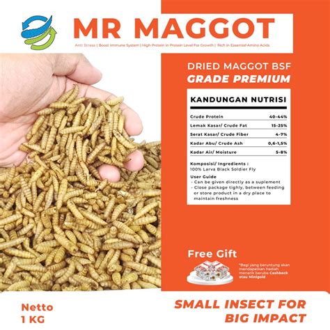 Jual MR MAGGOT Maggot Magot Kering BSF 1kg Grade PREMIUM Pakan Koi