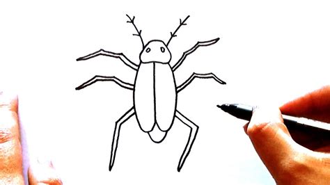 Como Dibujar Una Cucaracha How To Draw A COCKROACH YouTube