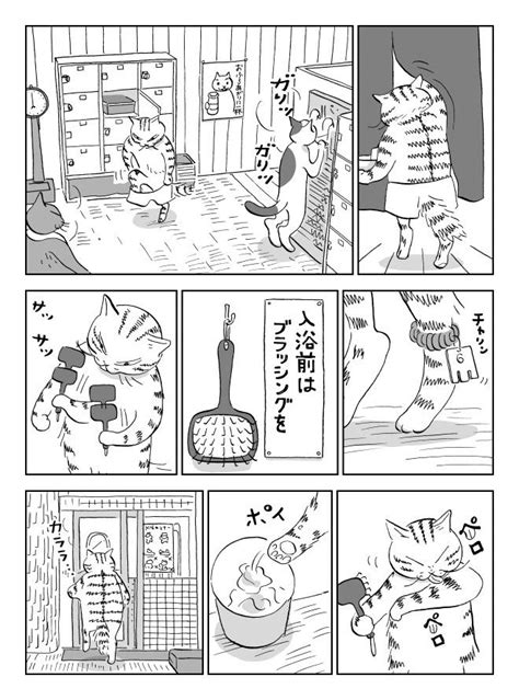 「猫の日ということで🐱 『みゃーこ湯のトタンくん』 ミシマ社より発売中です。銭湯ネコ漫画、試し読みはこちらからどうぞ。」スケラッコの漫画