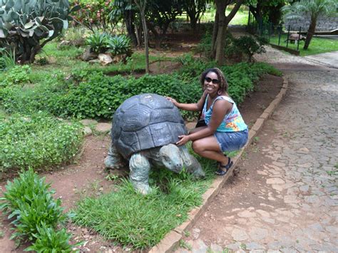 Museu De Ci Ncias Naturais Puc Minas Chicas Lokas Na Estrada Dicas