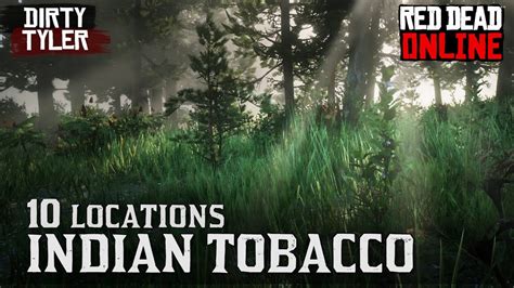 Indian Tobacco Locations Rdr2