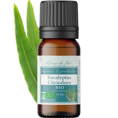 Huile essentielle d eucalyptus citronné bio par Lueur du Sud