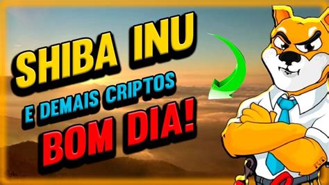 042 BOM DIA SHIBA INU E DEMAIS CRIPTOMOEDAS YouTube