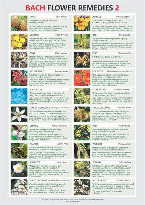 Bachblüten digitaler Download PDF Rettungsmittel BFR Etsy de