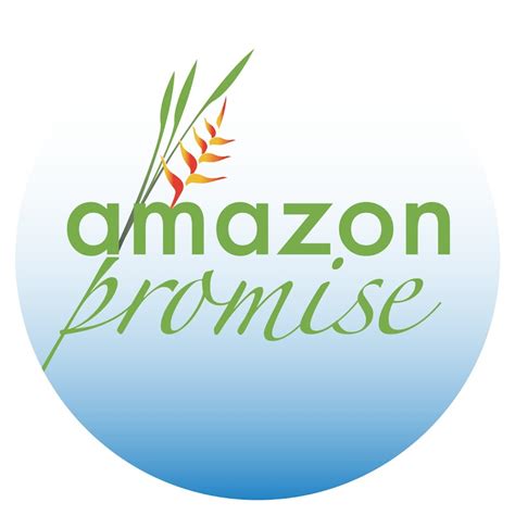 Amazon Promise Youtube