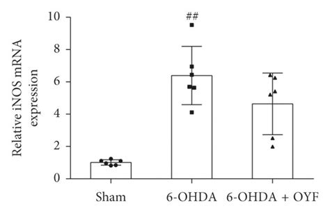 Effects Of Oyf On Inos And Cox 2 Expression In In Vivo And In Vitro